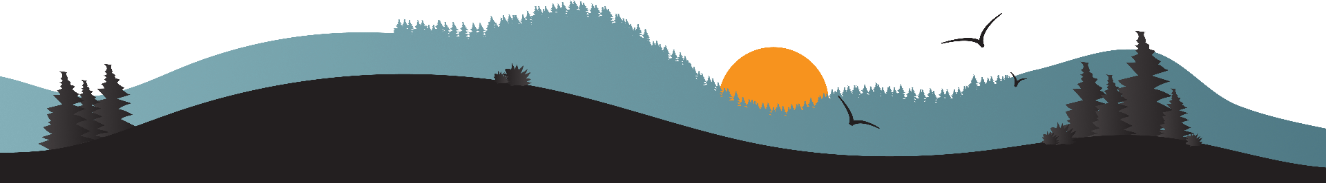 Ethiopian High Land Tours 29 footer bg