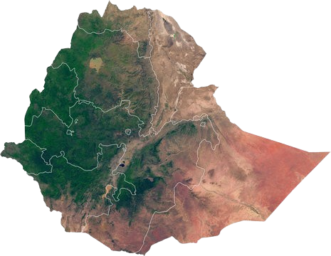 Ethiopian High Land Tours 11 WhatsApp Image 2025 12 30 at 12.14.24 PM 4 removebg preview