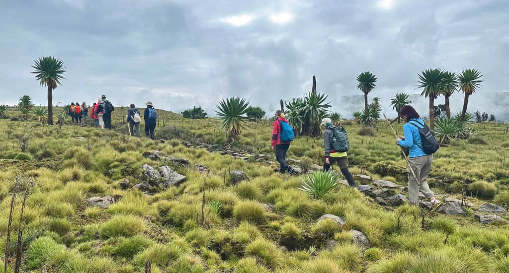 Trip 17 Ethiopian High Land Tours 17 WhatsApp Image 2025 12 30 at 12.14.25 PM 2