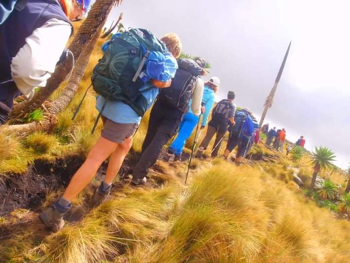 Ethiopian High Land Tours 1 WhatsApp Image 2025 12 30 at 12.14.29 PM 1