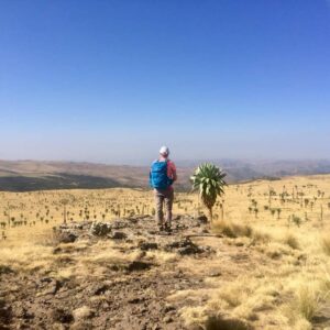 Ethiopian High Land Tours 26 WhatsApp Image 2025 12 30 at 12.14.32 PM 1