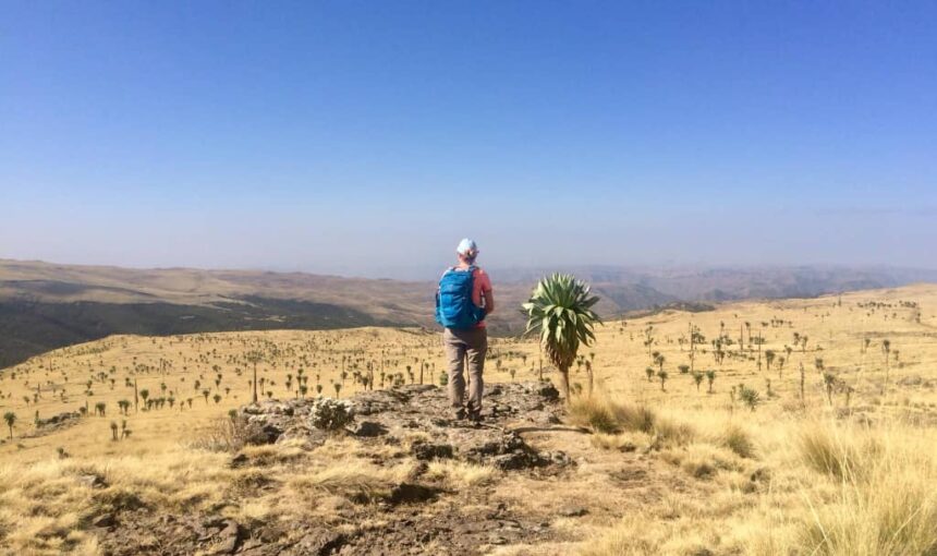 Exploring the Danakil Depression: Earth’s Hottest Place