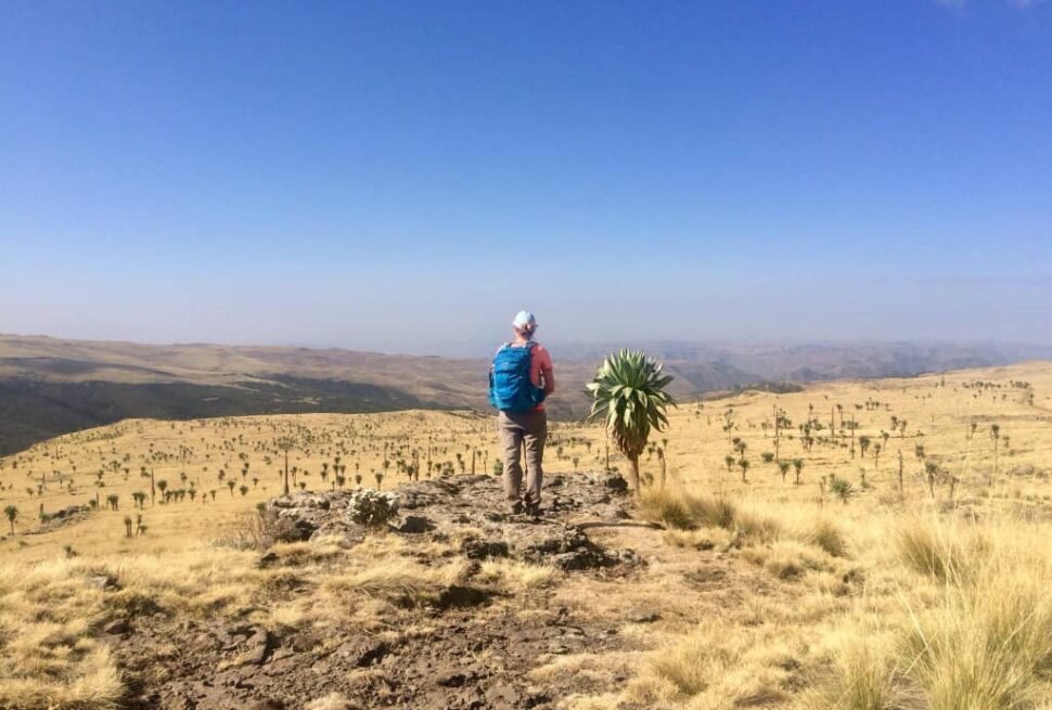 Ethiopian High Land Tours 5 WhatsApp Image 2025 12 30 at 12.14.32 PM 1