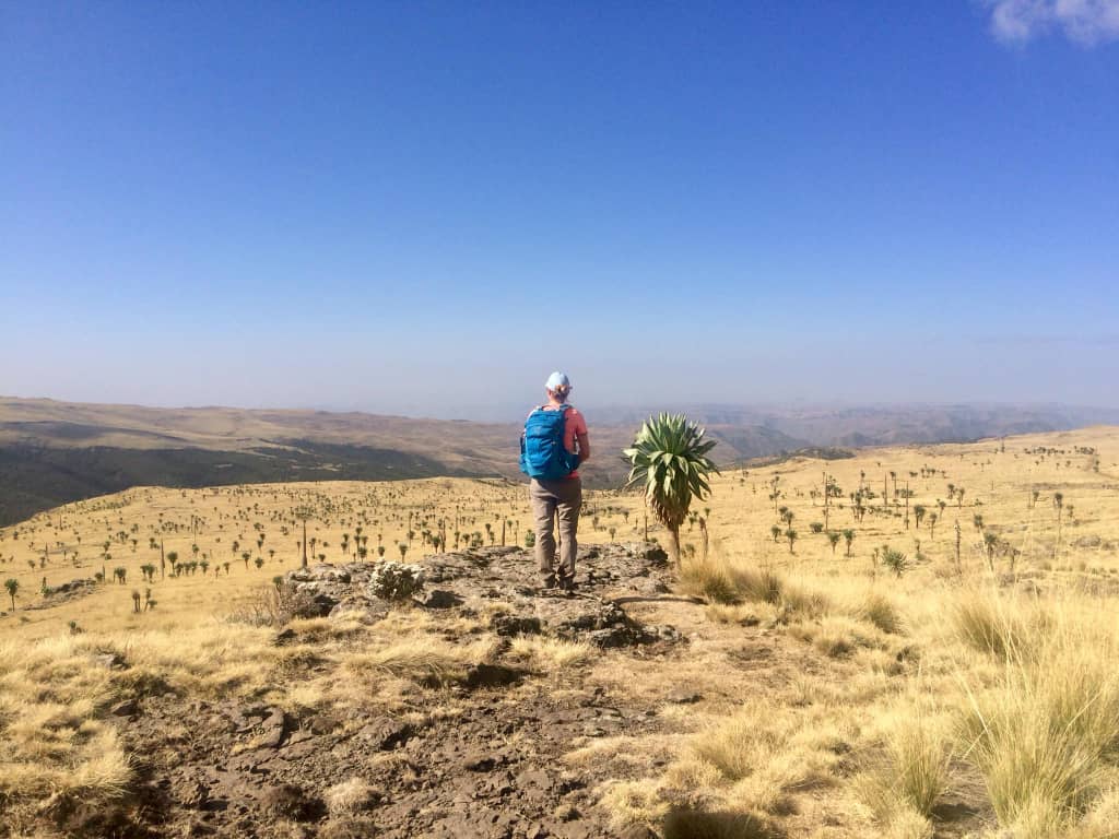 Ethiopian High Land Tours 1 WhatsApp Image 2025 12 30 at 12.14.32 PM 1