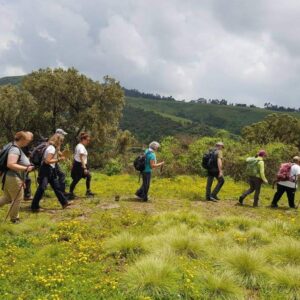 Ethiopian High Land Tours 25 WhatsApp Image 2025 12 30 at 12.14.34 PM 4