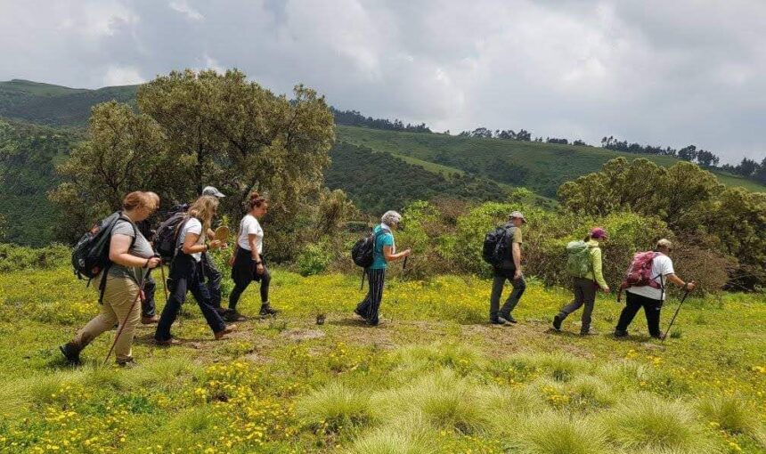 Exploring the Simien Mountains: Ethiopia’s Roof of Africa
