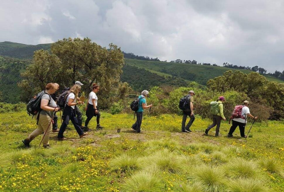 Ethiopian High Land Tours 7 WhatsApp Image 2025 12 30 at 12.14.34 PM 4