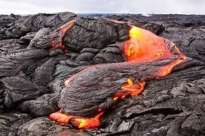 WhatsApp Image 2025-12-30 at 12.14.37 PM (2)