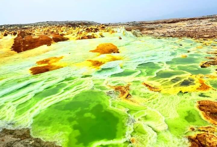 Ethiopian High Land Tours 6 WhatsApp Image 2025 12 30 at 12.14.42 PM 2