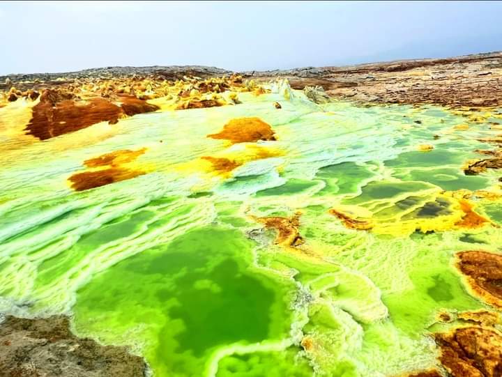 Ethiopian High Land Tours 8 WhatsApp Image 2025 12 30 at 12.14.42 PM 2