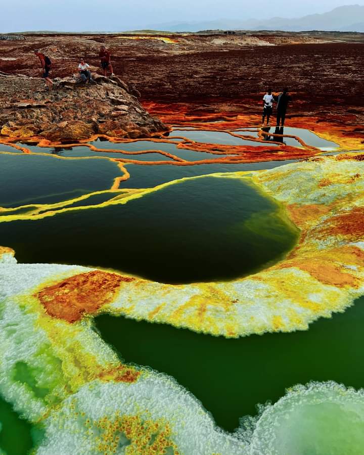 Trip 80 Ethiopian High Land Tours 80 WhatsApp Image 2025 12 30 at 12.14.42 PM 4