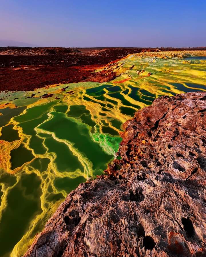 Trip 78 Ethiopian High Land Tours 78 WhatsApp Image 2025 12 30 at 12.14.43 PM 1