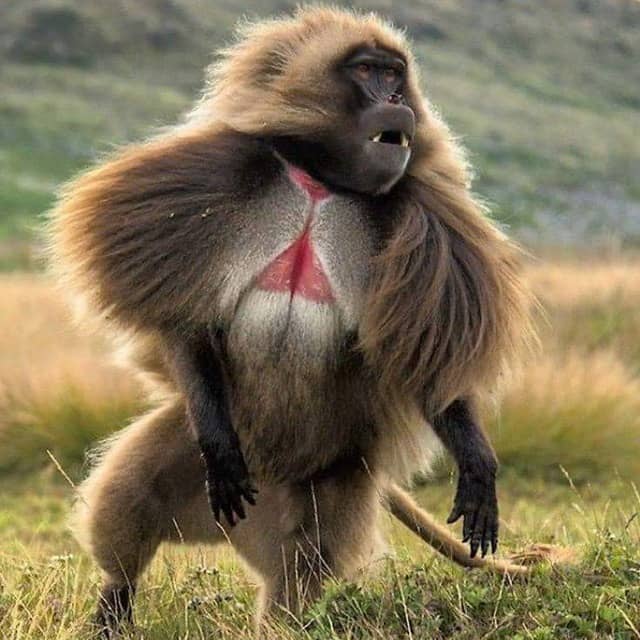 Ethiopian High Land Tours 10 WhatsApp Image 2025 12 30 at 12.14.45 PM 5