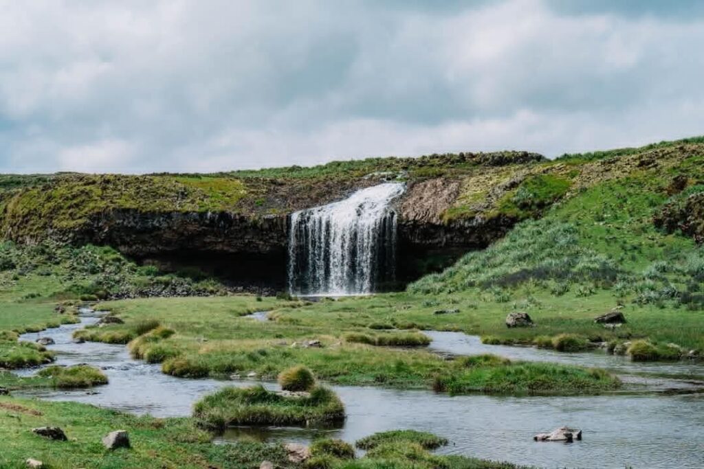 Trip 27 Ethiopian High Land Tours 27 WhatsApp Image 2026 01 01 at 5.05.08 PM