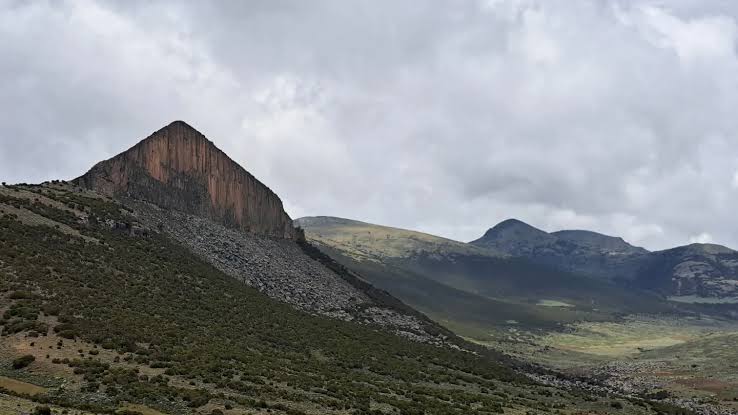 Trip 25 Ethiopian High Land Tours 25 WhatsApp Image 2026 01 01 at 5.05.12 PM