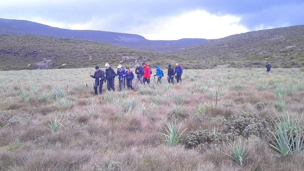 Trip 56 Ethiopian High Land Tours 56 WhatsApp Image 2026 01 01 at 5.05.16 PM 1