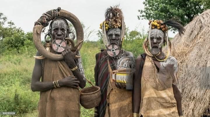 Ethiopian High Land Tours 6 WhatsApp Image 2026 01 17 at 3.05.09 PM